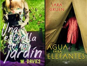 Book-Tag #11 Book-Tag #11