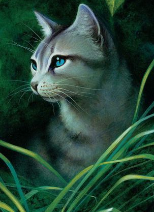 Los gatos guerreros - la nueva profecía - Medianoche - ERIN HUNTER