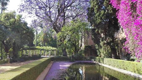 Jardines del  Alcázar  III