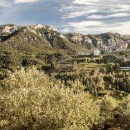 Consultorio local de pauls 1 Consultorio local de pauls 1