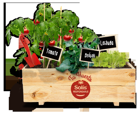 Comienzo de curso, nutrición y sorteo Comienzo de curso, nutrición y sorteo