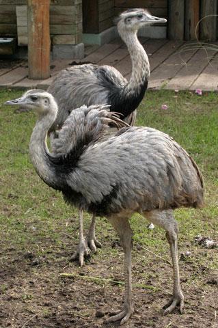 Una tranquila mirada Una tranquila mirada