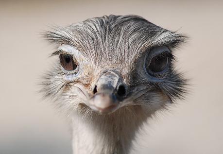 Una tranquila mirada Una tranquila mirada