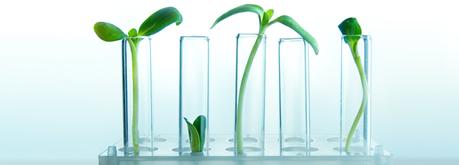 NUEVO | EXFOLIANTE BIO PEEL DE LA NUEVA GAMA GO ORGANIC DE FARMA DORSCH. NUEVO | EXFOLIANTE BIO PEEL DE LA NUEVA GAMA GO ORGANIC DE FARMA DORSCH.