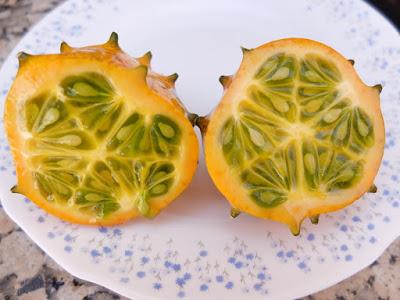 KIWANO, UNA EXTRAÑA FRUTA EN MI HUERTO