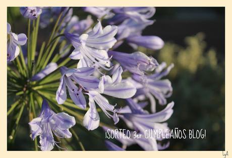 ¡¡¡SORTEO 3er CUMPLEAÑOS BLOG!!! ¡¡¡SORTEO 3er CUMPLEAÑOS BLOG!!!