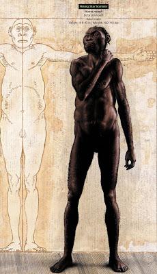 F.A.Q. Homo naledi