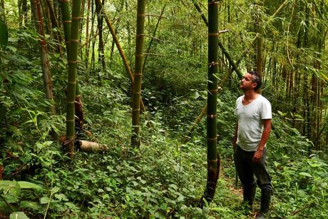 Valle del Cauca Valle del Cauca