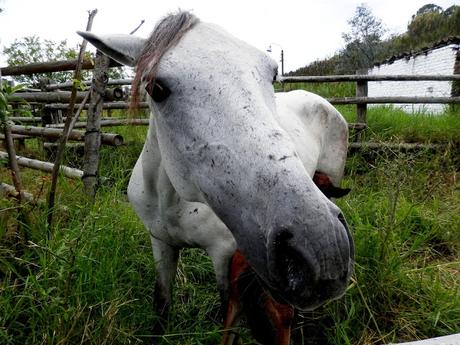 Valle del Cauca Valle del Cauca