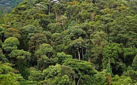 Valle del Cauca Valle del Cauca