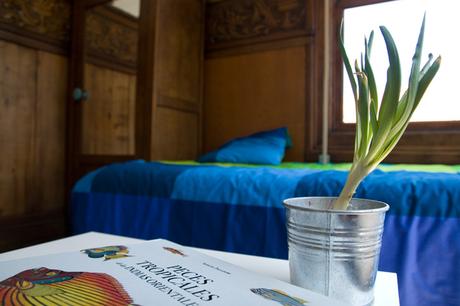 Airbnb. Mi experiencia y consejos cómo anfitrión Airbnb. Mi experiencia y consejos cómo anfitrión