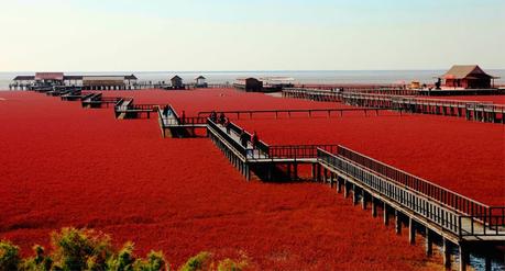 Estos Paisajes Parecen Haber Sido Pintados