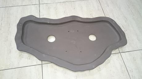 Un bosque de Celtis Un bosque de Celtis