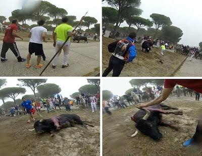 El asesinato de “Rompesuelas”, entre diversiones y protestas. El asesinato de “Rompesuelas”, entre diversiones y protestas.