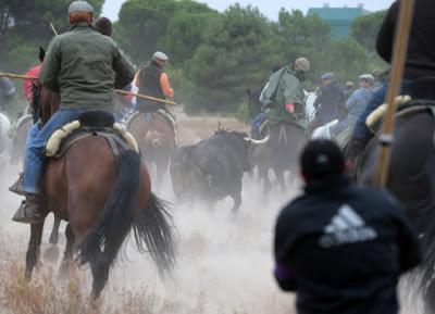 El asesinato de “Rompesuelas”, entre diversiones y protestas. El asesinato de “Rompesuelas”, entre diversiones y protestas.