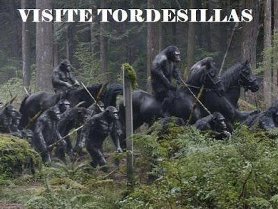 El asesinato de “Rompesuelas”, entre diversiones y protestas. El asesinato de “Rompesuelas”, entre diversiones y protestas.