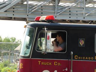 Dia 4: Chicago: Wrigley Field - Cosas de Casa - United Stadium - Chicago Fire - Art Institute de Chicago Dia 4: Chicago: Wrigley Field - Cosas de Casa - United Stadium - Chicago Fire - Art Institute de Chicago