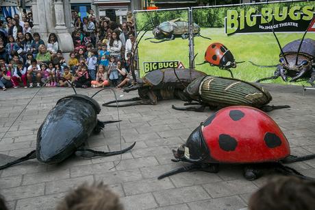 Big Bugs, MAF Santander