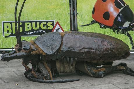 Big Bugs, MAF Santander