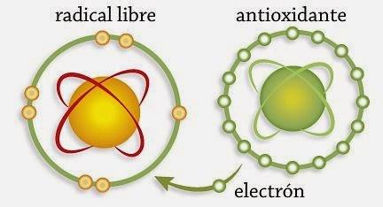 Antioxidantes y radicales libres: ¿Tal para cuál?