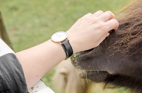 daniel-wellington-watch daniel-wellington-watch