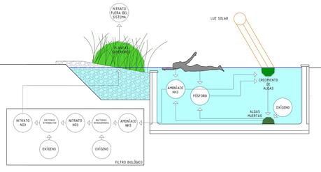 Filtro biológico piscina natural