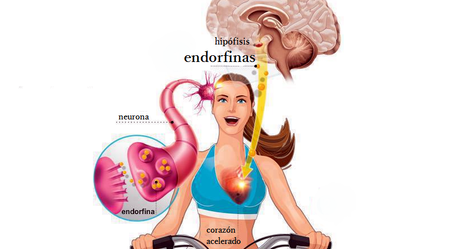 El suplemento y el efecto placebo