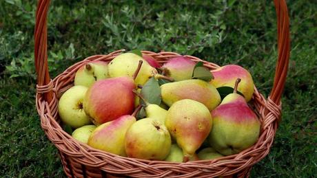 5 beneficios de comer peras peras.jpg1