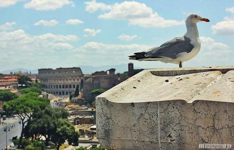 Il Vittoriano romano (2da. parte)