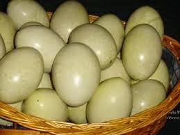 Una diosa en las pampas Una diosa en las pampas