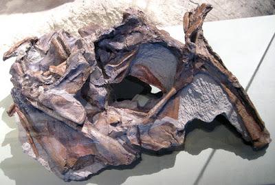 PALEOFICHA: Cryolophosaurus ellioti PALEOFICHA: Cryolophosaurus ellioti