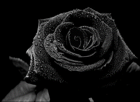 Días especiales de Lizzie Quintas y empezamos con..... Cuestionario Anescris a Lizzie Quintas Días especiales de Lizzie Quintas y empezamos con..... Cuestionario Anescris a Lizzie Quintas