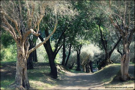 Villa Adriana: el escenario de una vida imperial