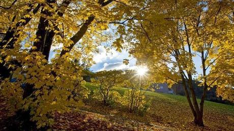 Estamos en Otoño