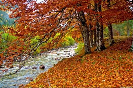 Estamos en Otoño