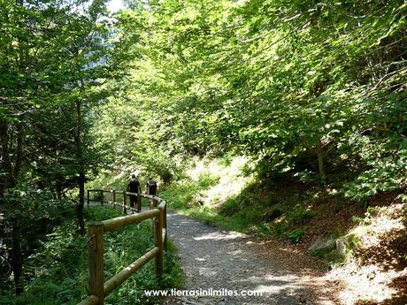 Dos en uno. De la Artiga de Lin a los Uelhs delth Joeu. Bosque abetos Artiga de Lin