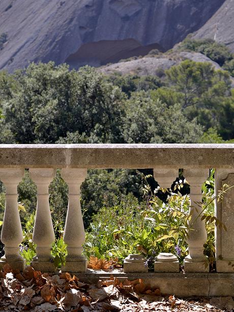 EMPANADILLAS DE POLLO Y MOSTAZA EMPANADILLAS DE POLLO Y MOSTAZA