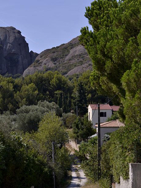 EMPANADILLAS DE POLLO Y MOSTAZA EMPANADILLAS DE POLLO Y MOSTAZA