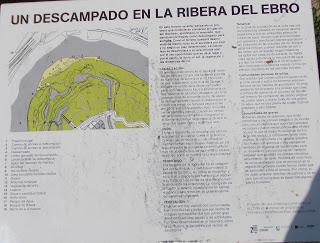 ¿Un descampado en el río Ebro?