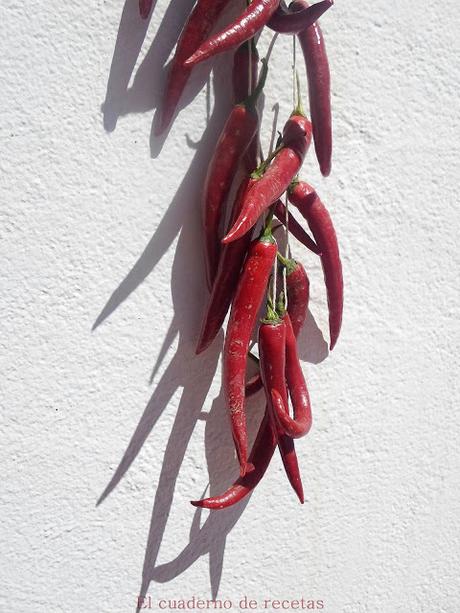 Pimientos Secos Pimientos Secos