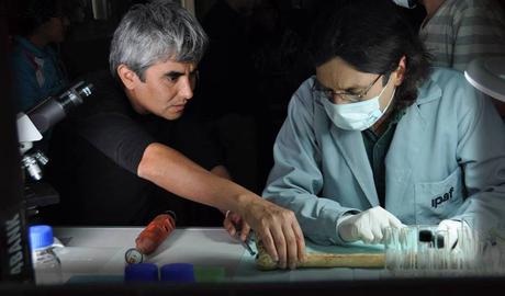 Héctor Gálvez, director de NN: “Yo siento esta película como una historia de fantasmas” Héctor Gálvez, director de NN: “Yo siento esta película como una historia de fantasmas”