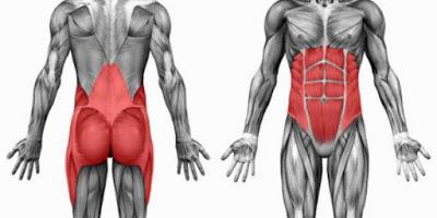 Fortalecer la parte central del cuerpo Fortalecer la parte central del cuerpo