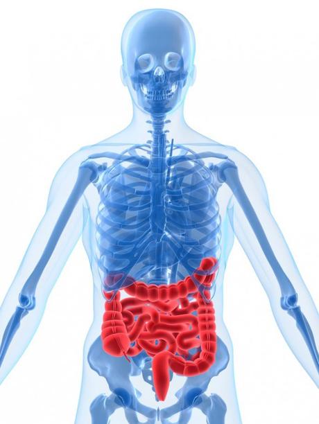 Datos sobre el Síndrome del Intestino Irritable