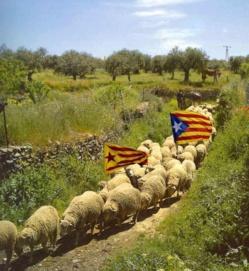 La fascinación del fascismo catalán La fascinación del fascismo catalán