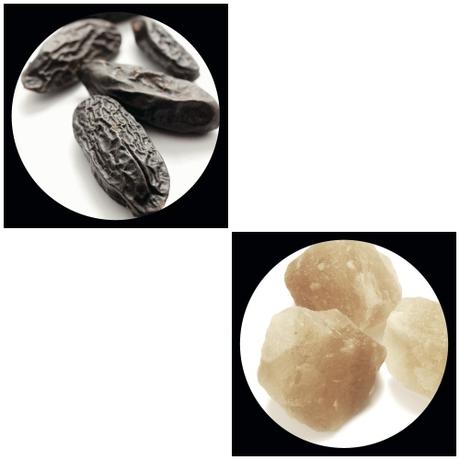 Sensai The Silk, La Primera Fragancia de Sensai, La Primera Fragancia que Evoca la Belleza de la Mujer Sensai The Silk, La Primera Fragancia de Sensai, La Primera Fragancia que Evoca la Belleza de la Mujer