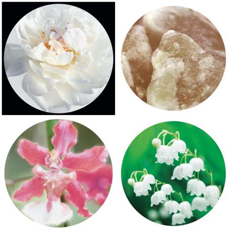 Sensai The Silk, La Primera Fragancia de Sensai, La Primera Fragancia que Evoca la Belleza de la Mujer Sensai The Silk, La Primera Fragancia de Sensai, La Primera Fragancia que Evoca la Belleza de la Mujer