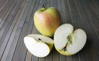 Vinagre para las llagas en la boca Vinagre para las llagas en la boca