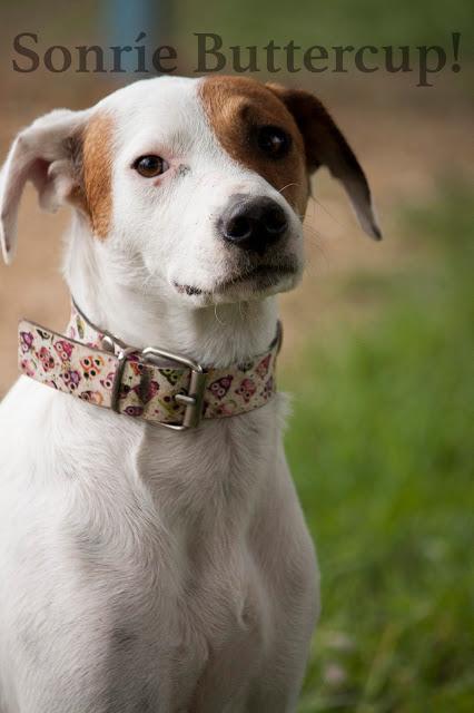 Tina y Telma, modelos en adopción