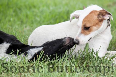 Tina y Telma, modelos en adopción