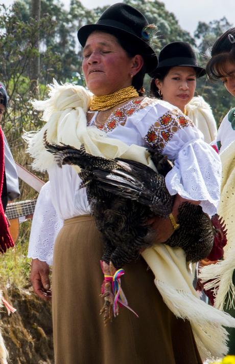 Inti Raymi en Zuleta, huambrito Inti Raymi en Zuleta, huambrito